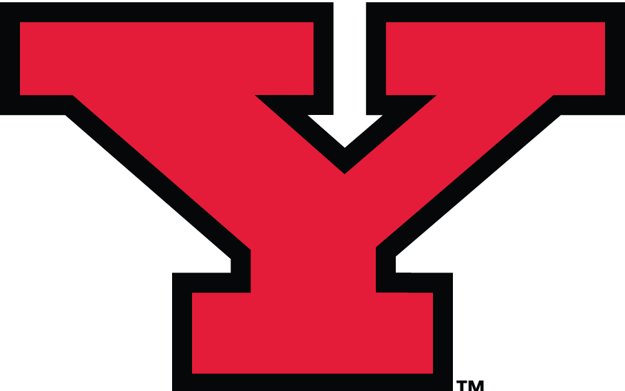Youngstown State Penguins 1993-Pres Alternate Logo iron on transfers for T-shirts